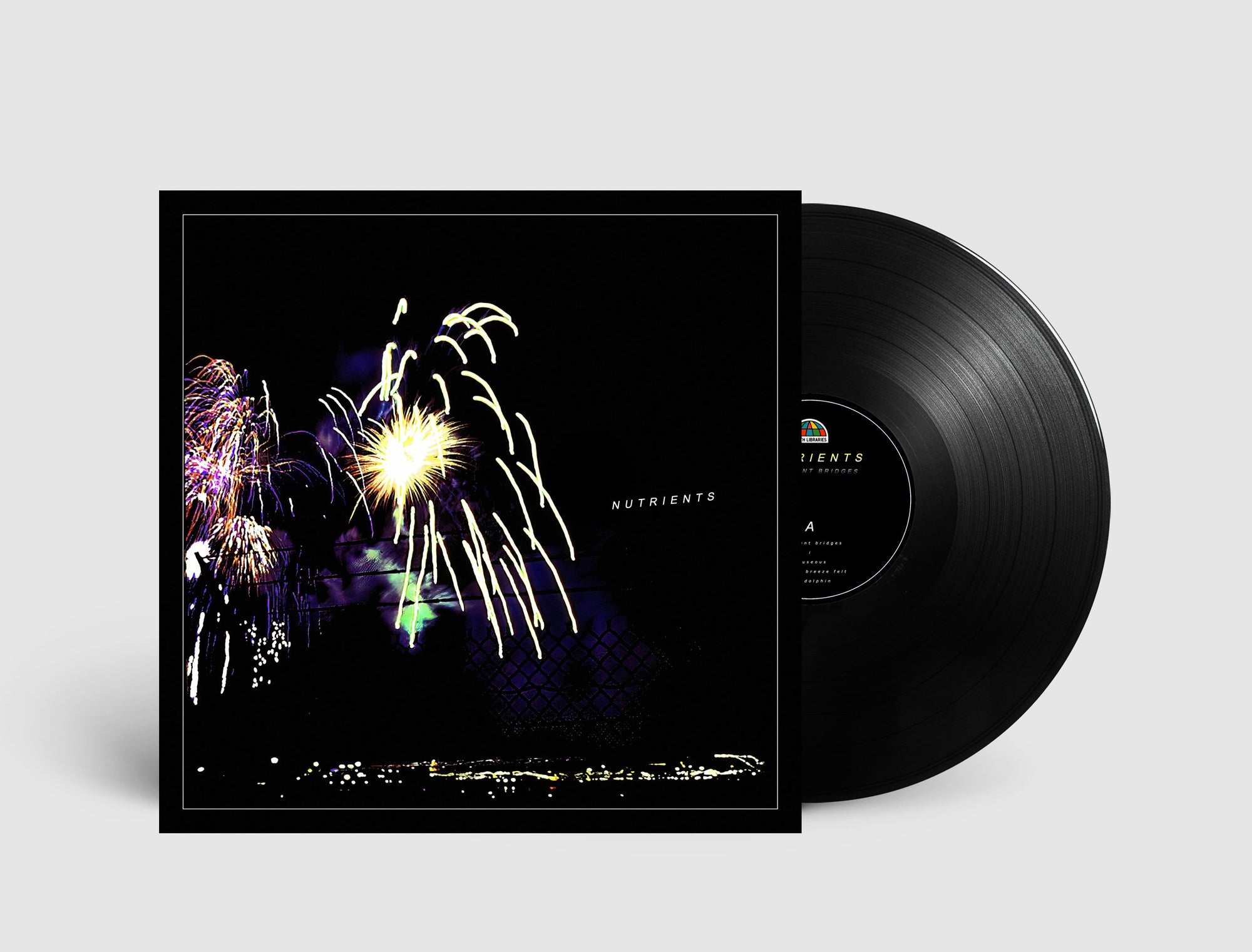 Nutrients - Different Bridges Vinyl