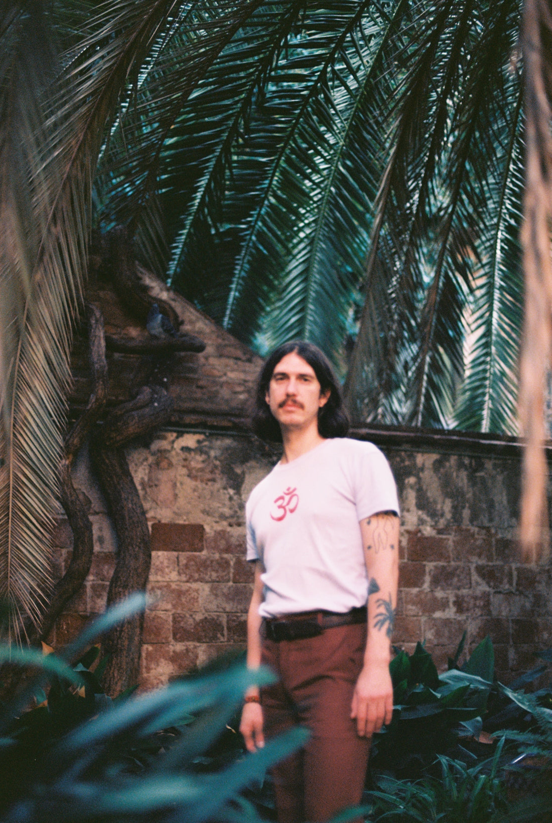 TWÏNS' lush tropical universe
