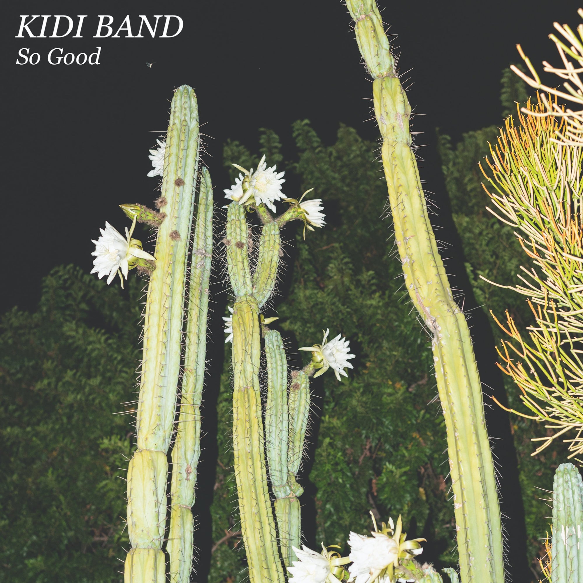 Kidi Band - So Good Vinyl