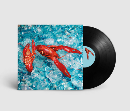 The Roof Dogs - Here You Are Vinyl